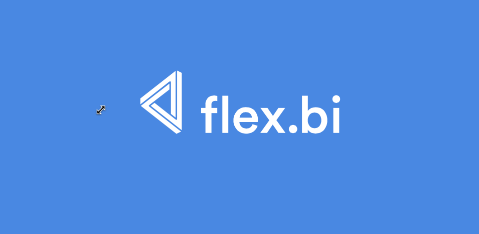 Flex_logo_onblue.png